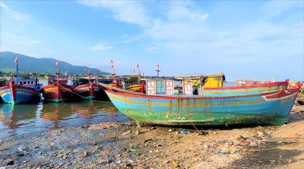 Tàu nằm bờ vì giá hải sản giảm