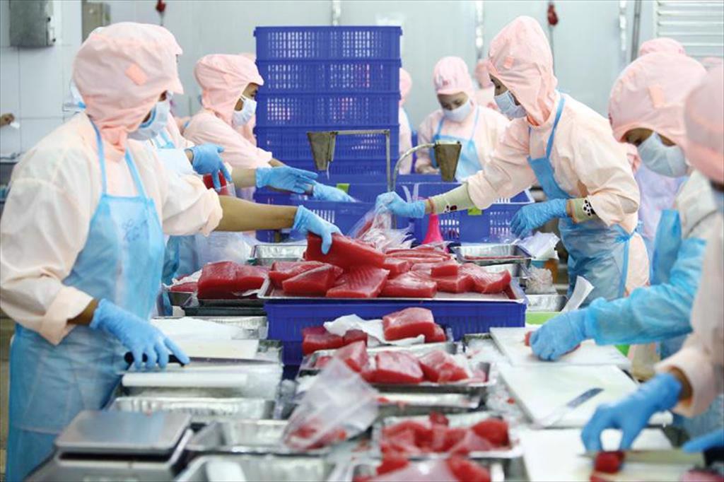 PC Kiên Giang giảm giá tiền điện đợt 5 cho doanh nghiệp nông thủy sản chế biến