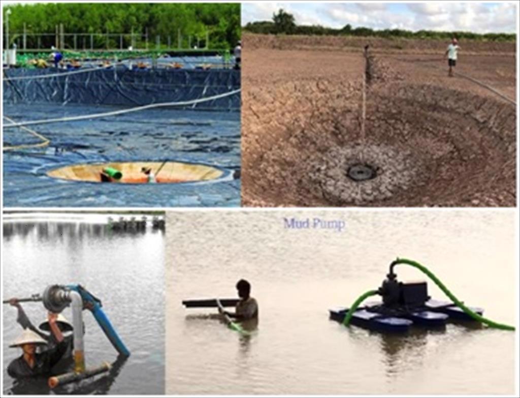 Bộ Khoa học và Công nghệ đồng hành cùng các địa phương vùng Đồng bằng song Cửu Long tìm kiếm giải pháp tổng thể để xử lý ô nhiễm môi trường ao nuôi cá tra