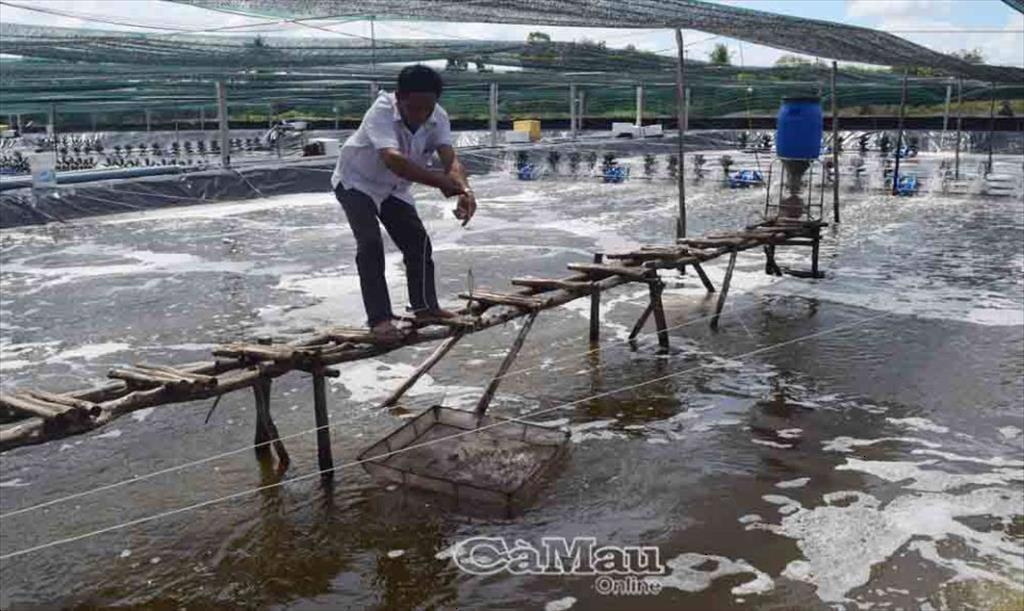 Sản lượng khai thác thủy sản tiếp tục tăng mạnh