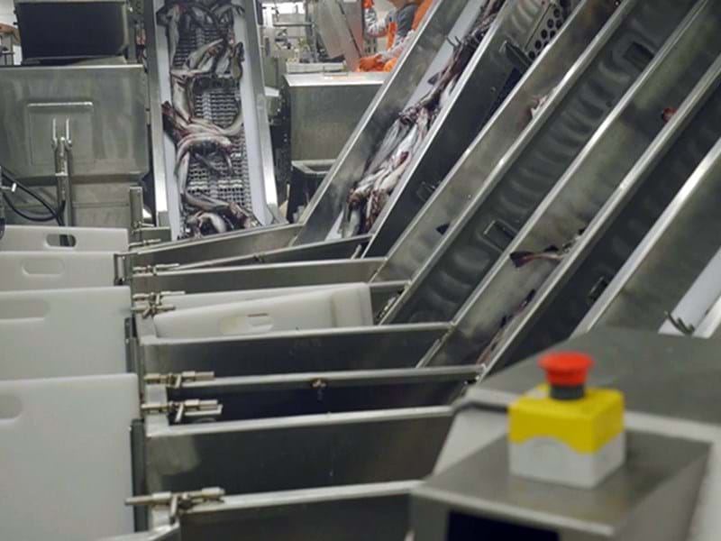 EU tăng nhập surimi từ Mỹ, giảm nhập bạch tuộc từ Morocco trong nửa đầu năm nay