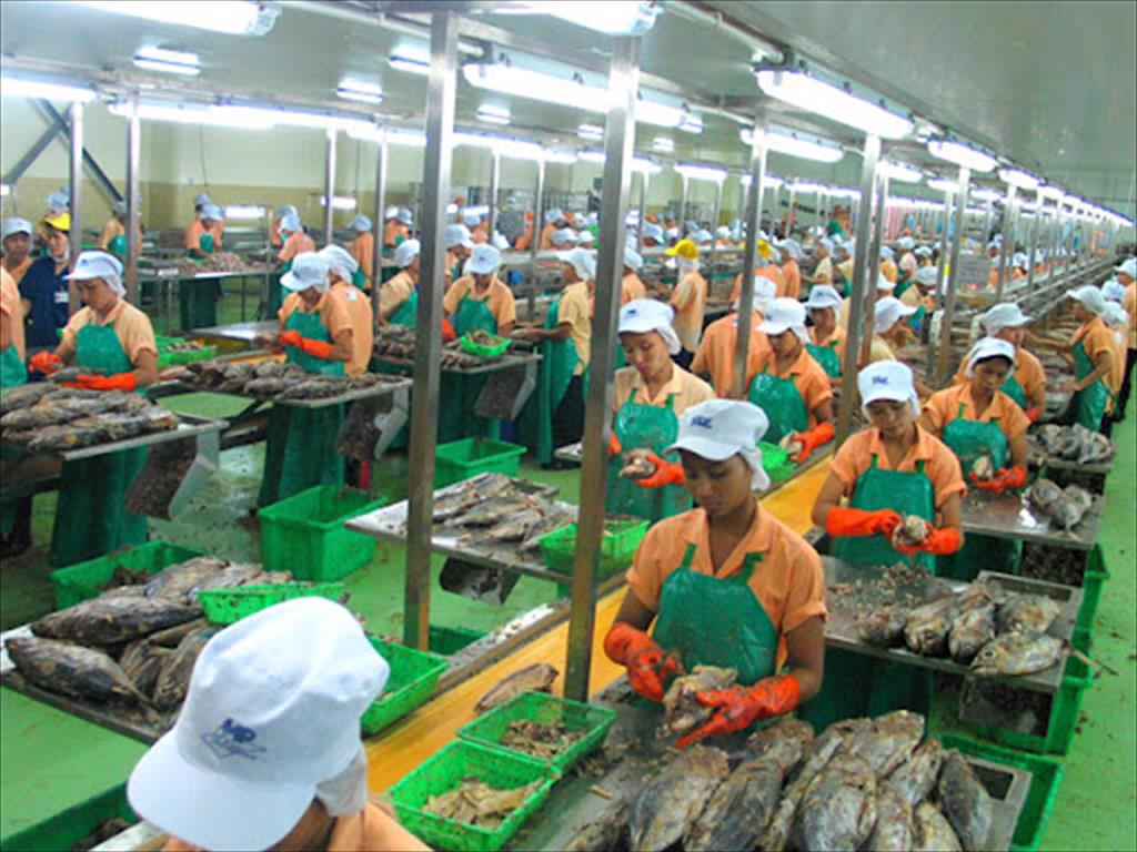 Xuất khẩu cá ngừ Thái Lan giảm 29% vì Covid-19