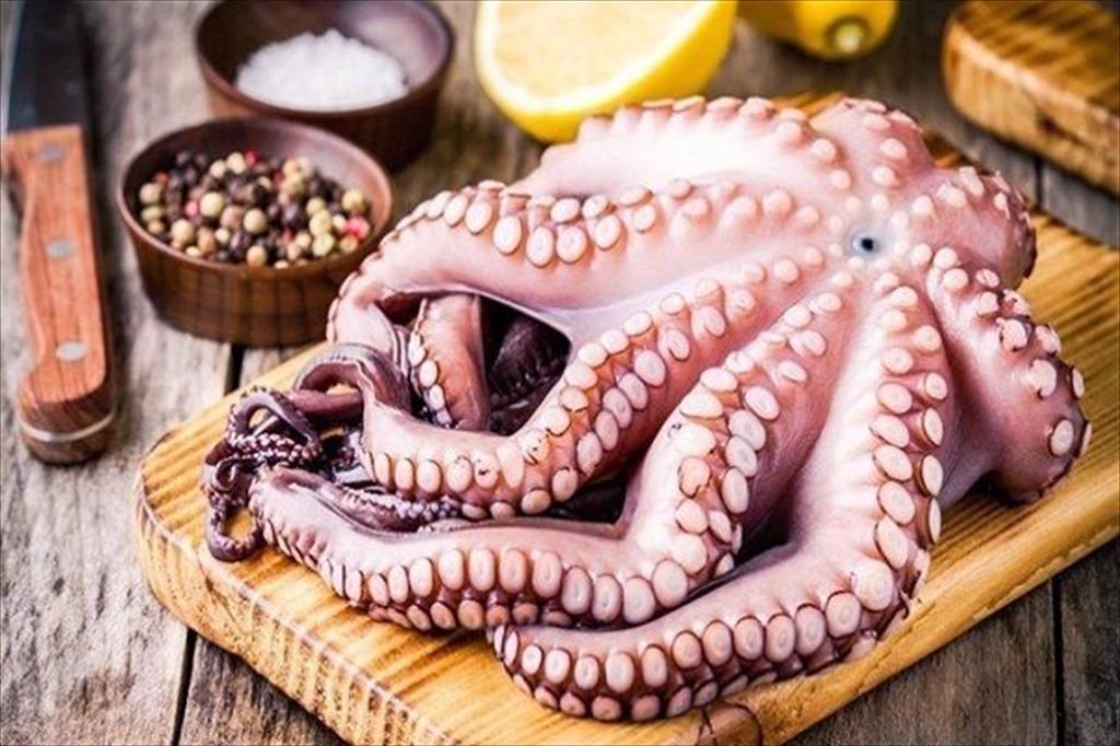 Nhật Bản giảm nhập khẩu mực, bạch tuộc trong nửa đầu năm nay