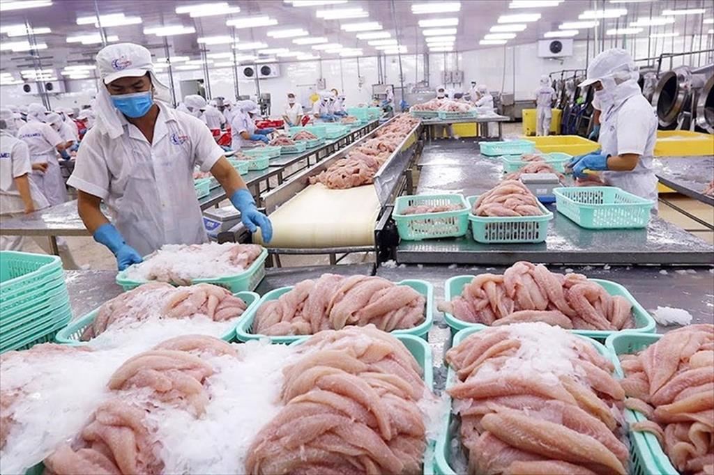 Các giải pháp cấp bách để vực dậy ngành thủy sản