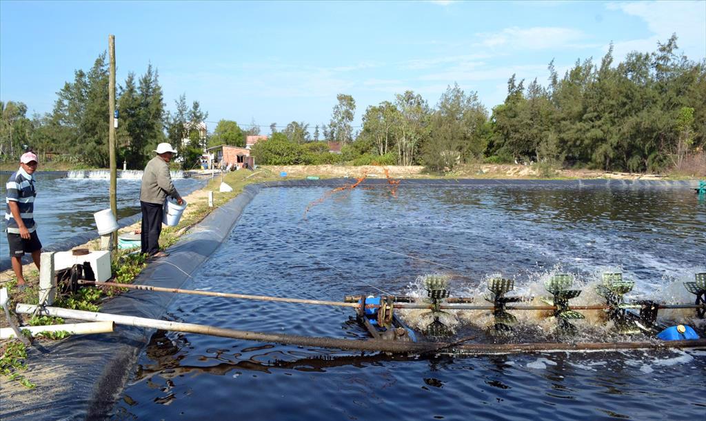 Ngành nông nghiệp nỗ lực tìm cách "thoát hiểm" để ổn định sản xuất