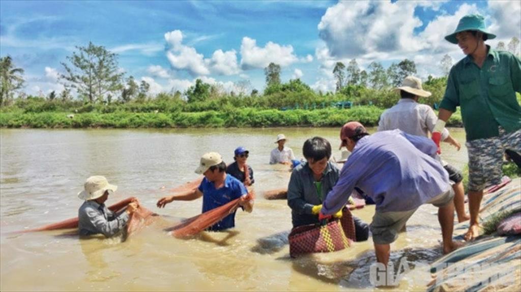 Thủy sản miền Tây xin sớm sản xuất vì sợ mất đơn hàng