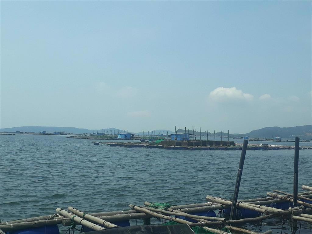 Sản lượng thủy sản khai thác biển tăng