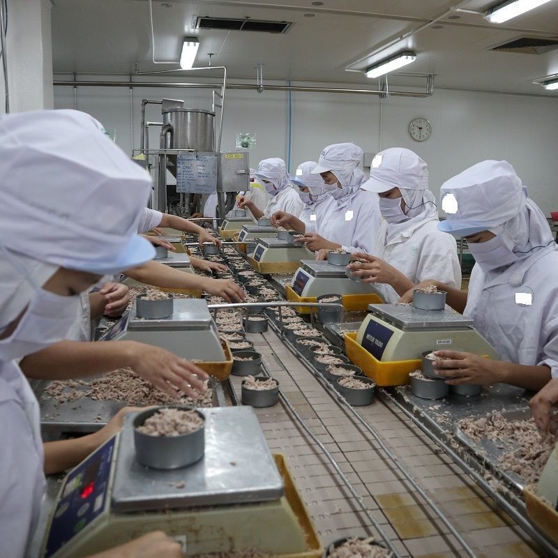 Thị trường cá ngừ đóng hộp EU phục hồi trong quý 2/2021