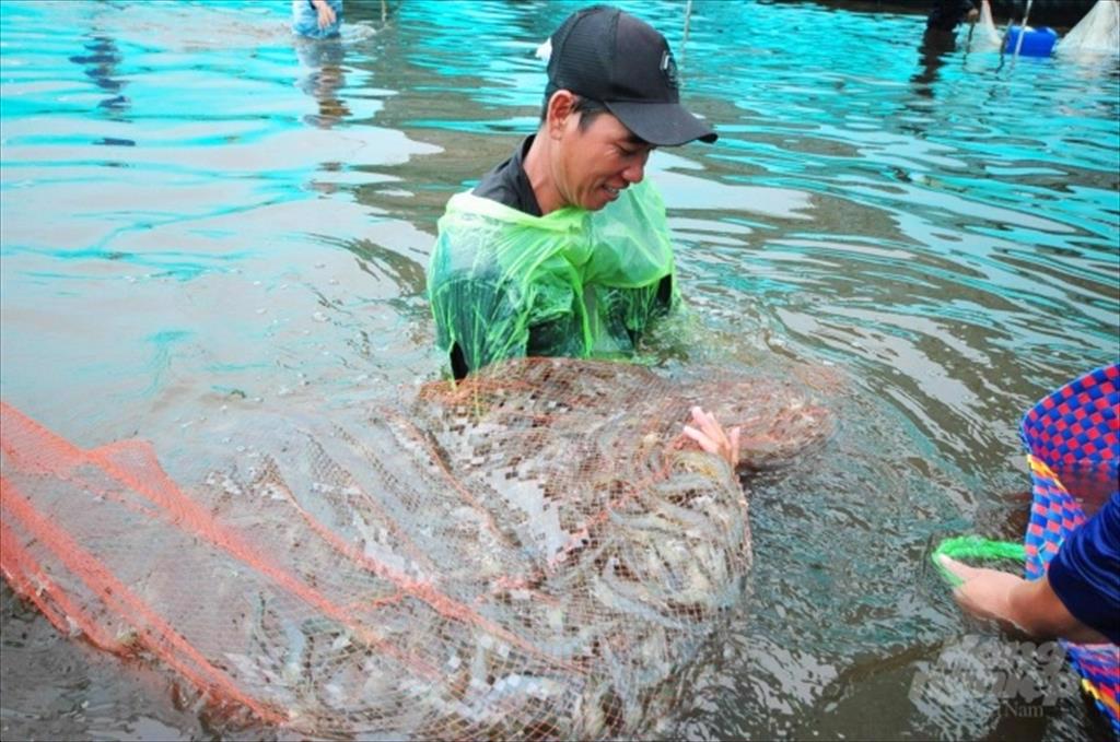 Thị trường thủy sản 