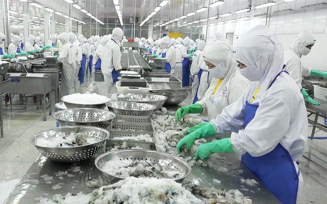 Covid chưa dứt, doanh nghiệp thủy sản thêm lo gánh nặng “nghĩa vụ môi trường”