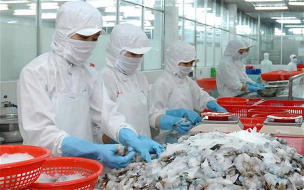 Yếu tố then chốt để ngành thủy sản đáp ứng quy tắc xuất xứ tại Hiệp định EVFTA