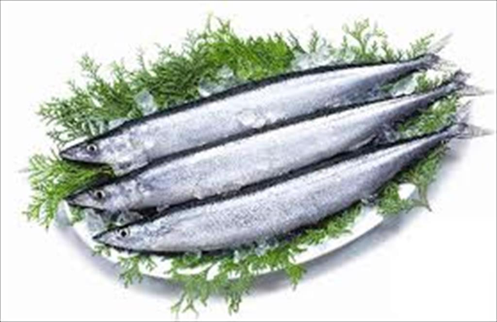 Sản lượng cá thu có thể giảm vào năm 2022