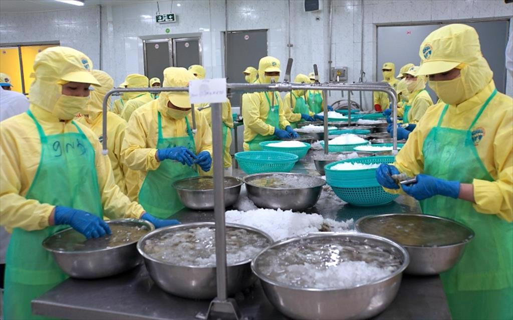 "Vượt dịch" xuất khẩu mới hy vọng khởi sắc