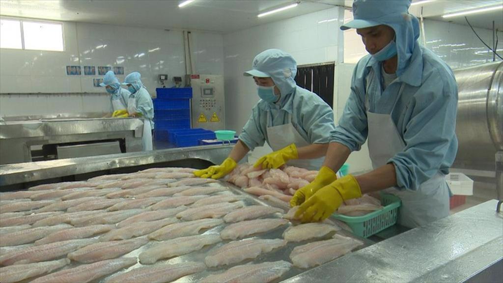 6 lĩnh vực ở Cần Thơ được ưu tiên mở cửa sản xuất