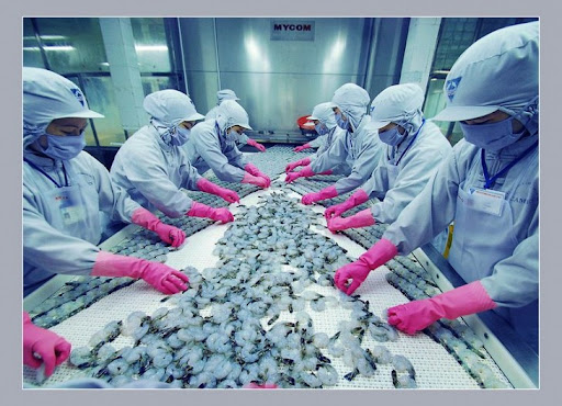 Nhắc chuyện cũ: Cơ hội kinh doanh