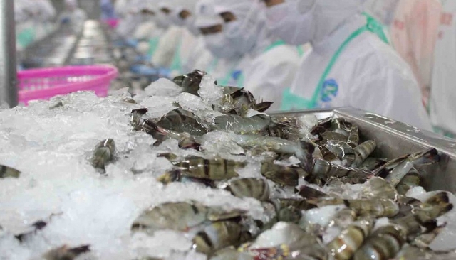 Infographic: Xuất khẩu tôm Việt Nam 8 tháng đầu năm 2021