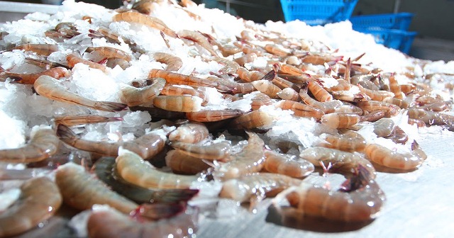 Indonesia: Nhà máy tăng mua nguyên liệu, giá tôm tăng
