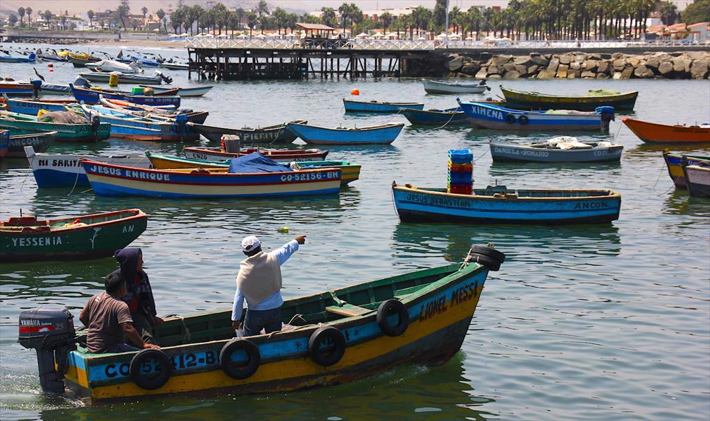 Peru có tiềm năng phát triển thành trung tâm tái chế thủy sản