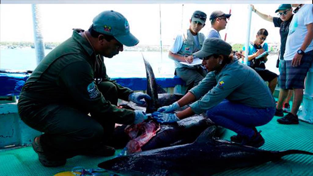 Mỹ, Canada hỗ trợ Ecuador chống đánh bắt bất hợp pháp 