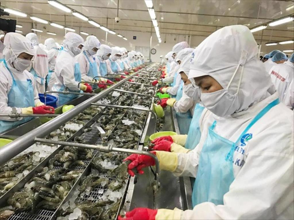 Phục hồi sản xuất kinh doanh: Doanh nghiệp 