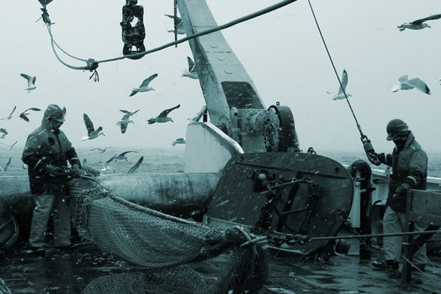 Mỹ mở rộng SIMP để tăng cường kiểm soát IUU và lao động cưỡng bức