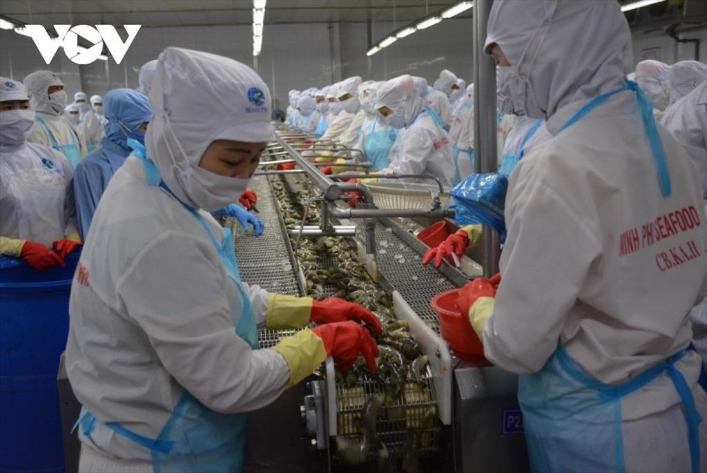 Nỗ lực phục hồi kinh tế hậu giãn cách ở ĐBSCL: Doanh nghiệp miền Tây khốn đốn trong "cơn bão" Covid-19