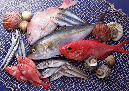 Xuất khẩu hải sản 9 tháng đầu năm 2021 đạt 2,4 tỷ USD