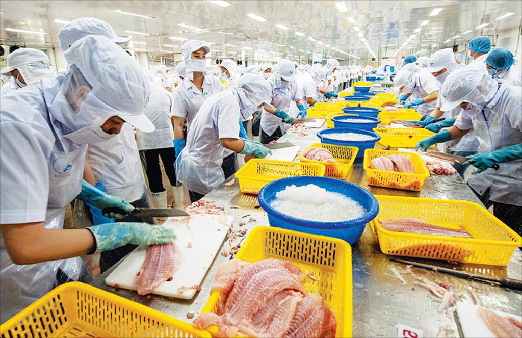 Infographic: Xuất khẩu cá tra Việt Nam 9 tháng đầu năm 2021