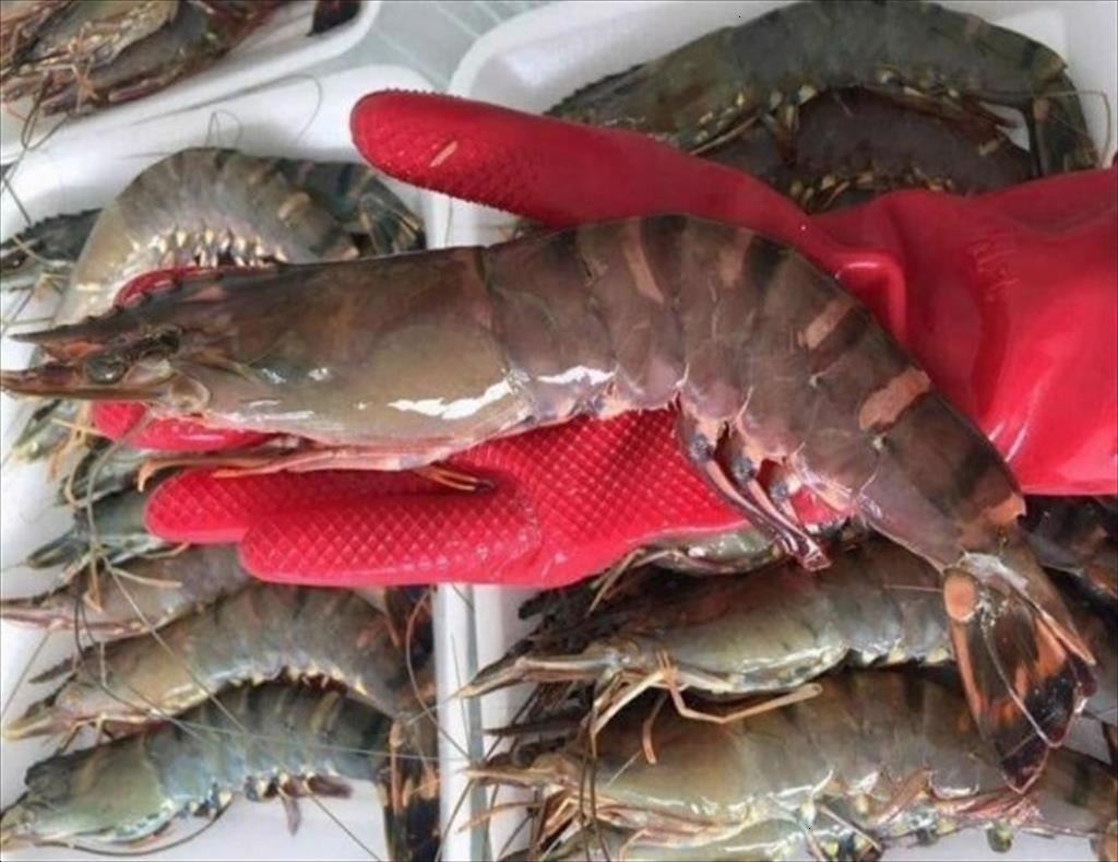 Vietnam seafood exports to the US increased by 24% in the first 9 months of 2021