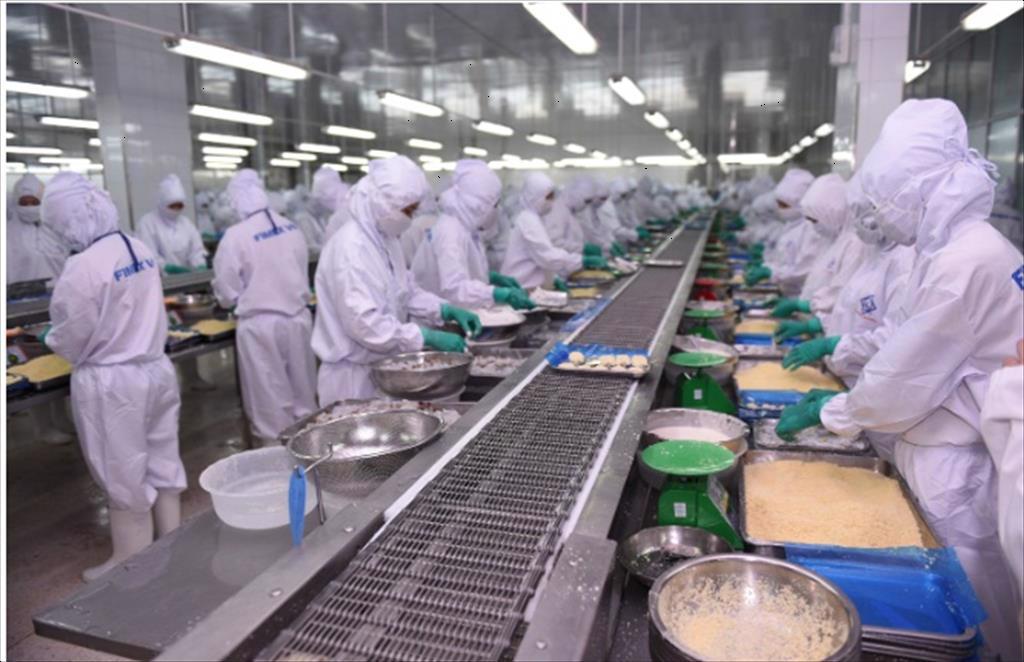 Dịch bệnh tái bùng phát: doanh nghiệp tôm gắng giữ vững “thành trì”