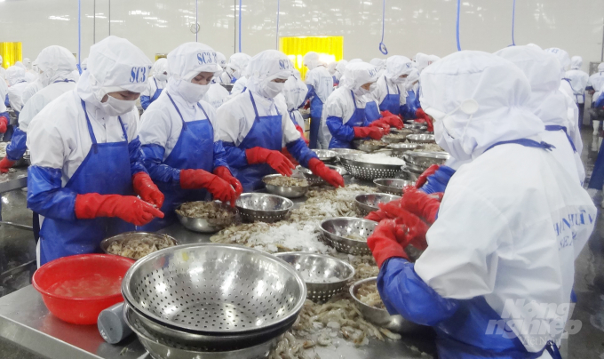 Thủy sản chớp cơ hội cuối năm: [Bài 2] Xuất khẩu tôm thuận lợi