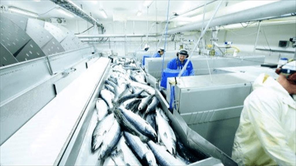 Na Uy: Xuất khẩu thủy sản tiếp tục tăng trong tháng 10/2021