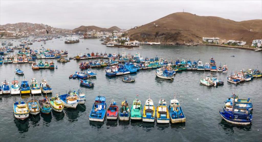 Peru: Lượng cập cảng hải sản giảm 25% trong tháng 8 năm nay