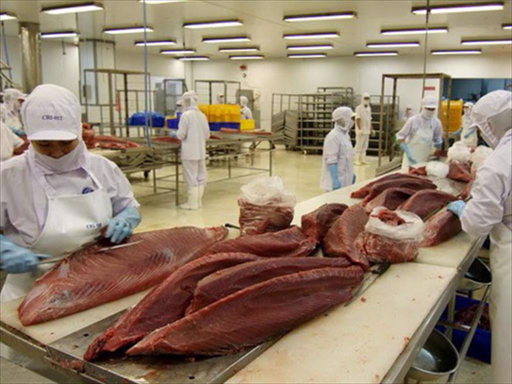 Quý 3/2021, xuất khẩu cá ngừ sang Canada giảm 27%