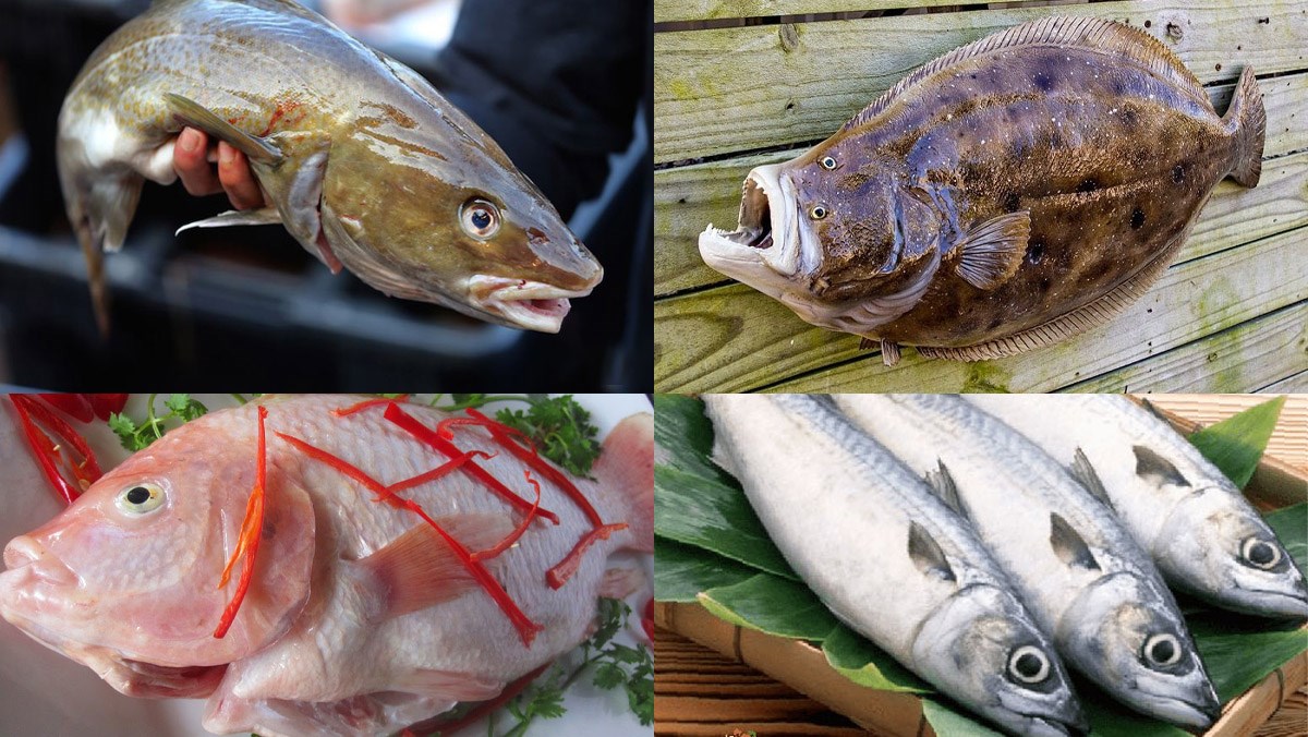 Năm 2022: Sản lượng cá thịt trắng tự nhiên, nuôi toàn cầu sẽ ít thay đổi