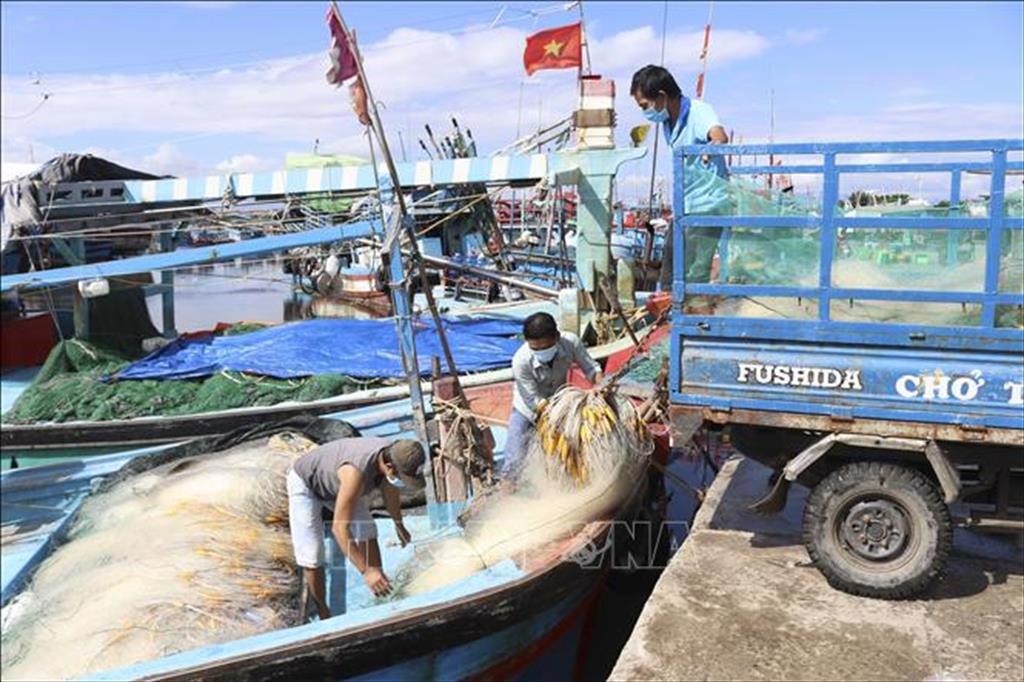 Ninh Thuận: Khai thác thủy sản thích ứng an toàn với dịch COVID-19
