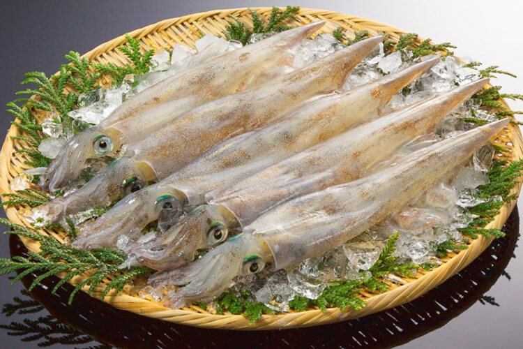 EU: Nhập khẩu mực ống sống/tươi từ Morocco tăng trong quý 3/2021