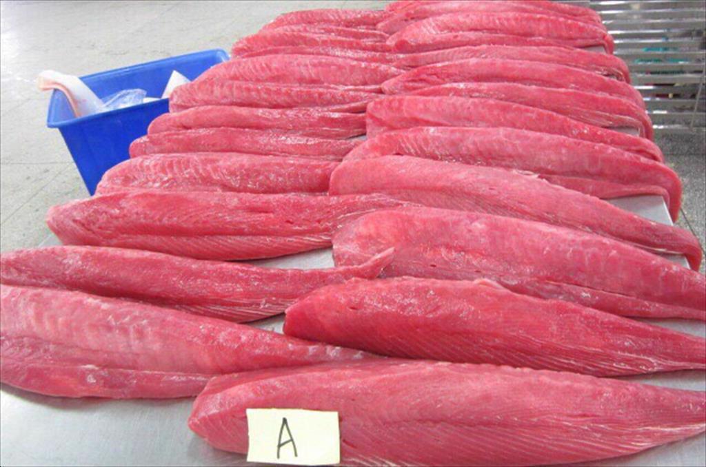 Tuna exports to Canada increased by 22% in the first 9 months of 2021