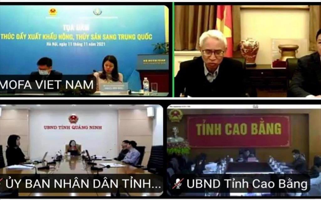 Vì sao nông sản Việt thụ động và phụ thuộc thị trường Trung Quốc? 