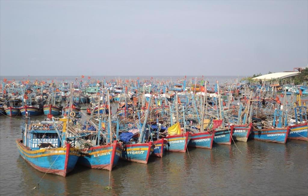 Kiên Giang: Thanh tra hoạt động khai thác hải sản