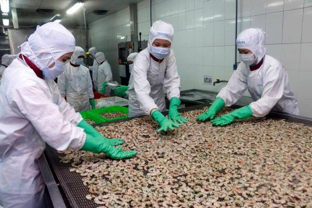 Nhu cầu nhập khẩu tôm của EU còn tiếp tục tăng 