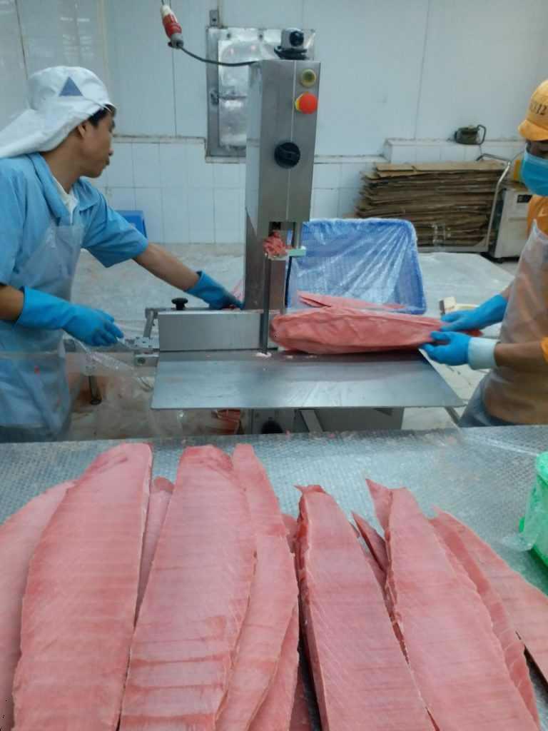 Tháng 9/2021, xuất khẩu cá ngừ sang Trung Quốc tăng cao trở lại