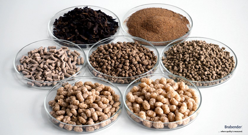 Xu hướng và thách thức trong ngành thức ăn thủy sản của Indonesia