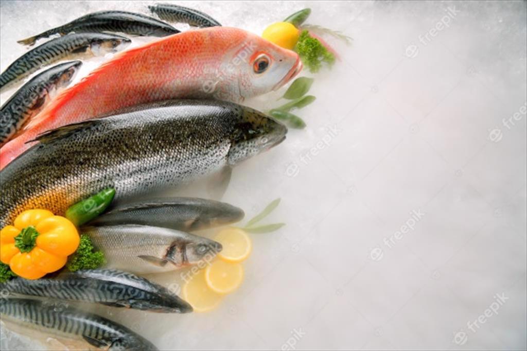 Anh: Bán lẻ cá ướp lạnh tăng mạnh 