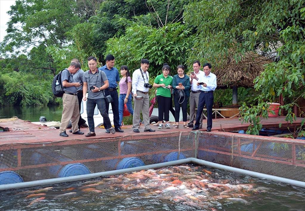 Bảo vệ nguồn lợi thủy sản để gỡ “thẻ vàng” EC