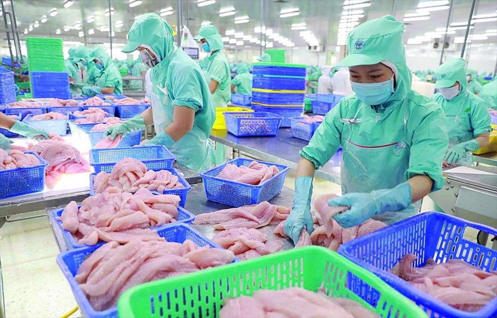 Xuất khẩu thuỷ sản chạm mốc 8 tỷ USD 