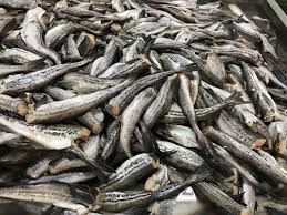 Thâm hụt nhập khẩu cá minh thái H&G của Trung Quốc vẫn rất cao