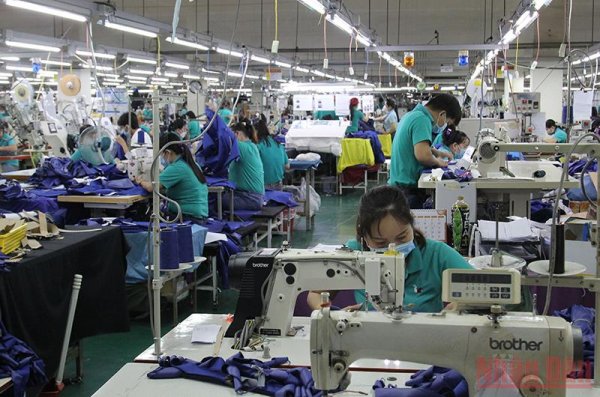 Vĩnh Long: Đề xuất thu hút lao động phục hồi sản xuất 