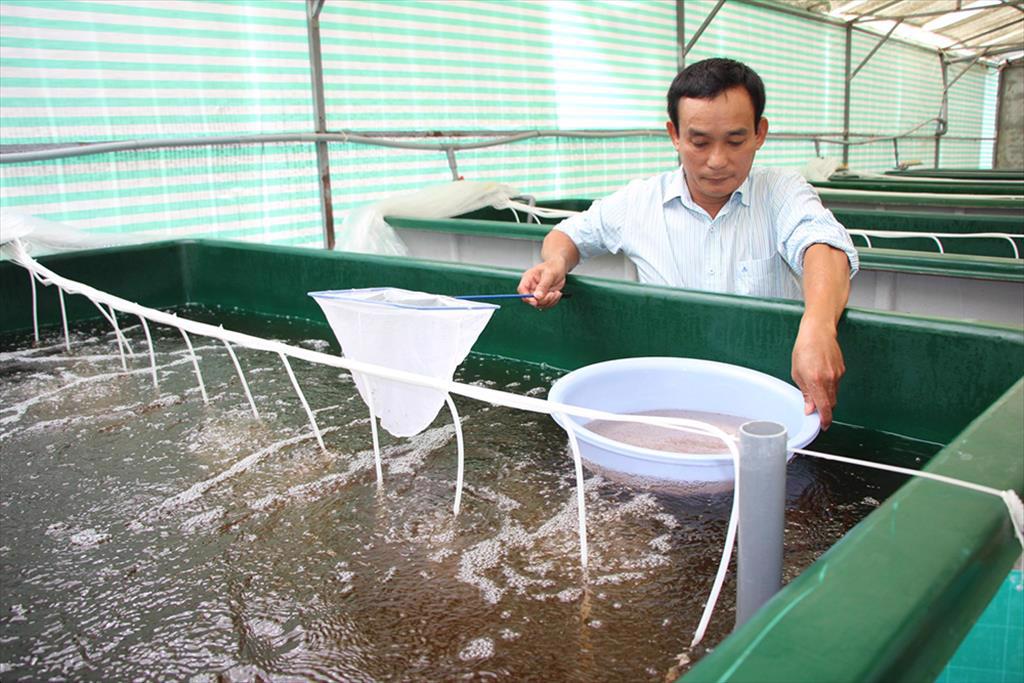 An Giang: Tập trung phát triển sản phẩm thủy sản chủ lực
