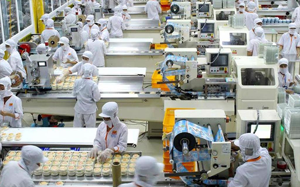 Bến Tre: Nhiều doanh nghiệp hoạt động trên 80% công suất